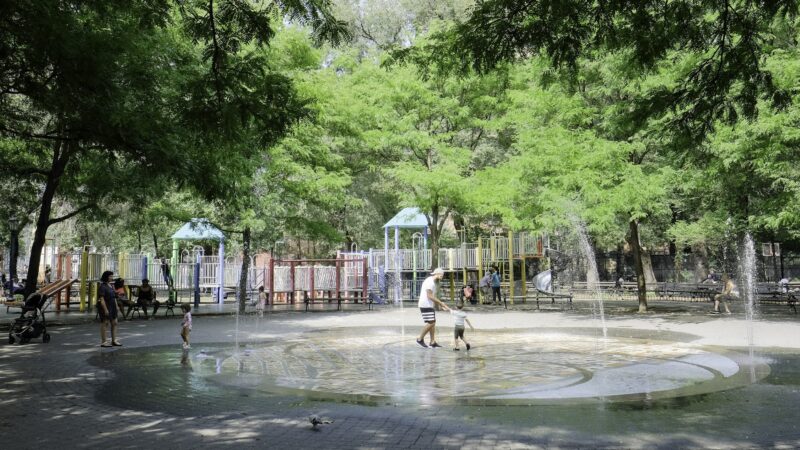 Seward Park - New York, NY