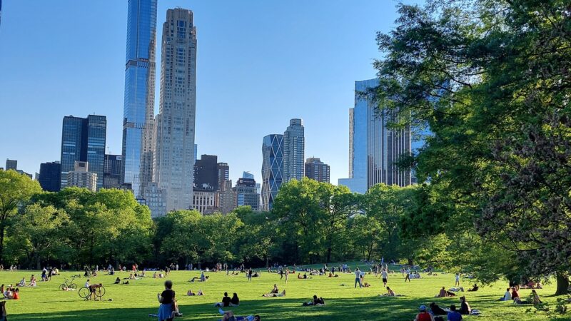 Sheep Meadow - New York, NY