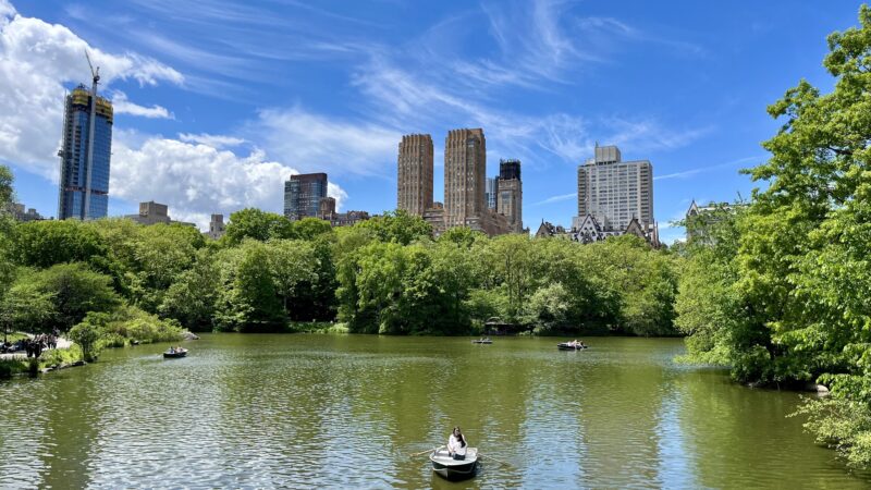 Sheep Meadow - New York, NY
