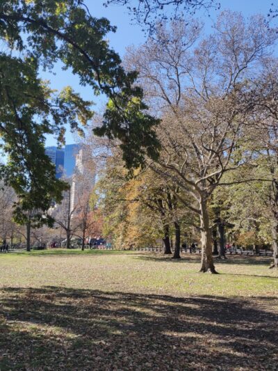 Sheep Meadow - New York, NY