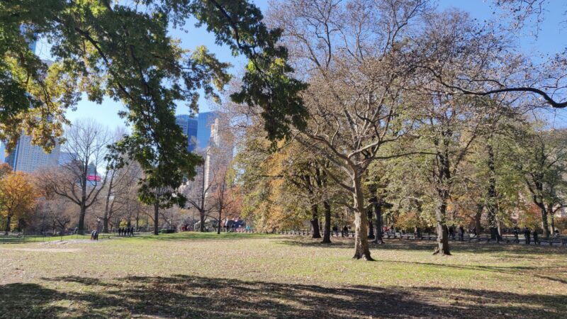 Sheep Meadow - New York, NY
