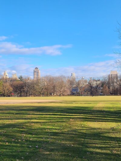 The Great Lawn - New York, NY
