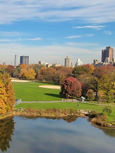 The Great Lawn - New York, NY