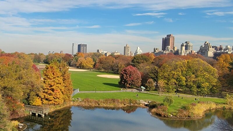 The Great Lawn - New York, NY