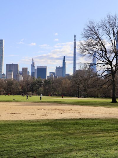 The Great Lawn - New York, NY