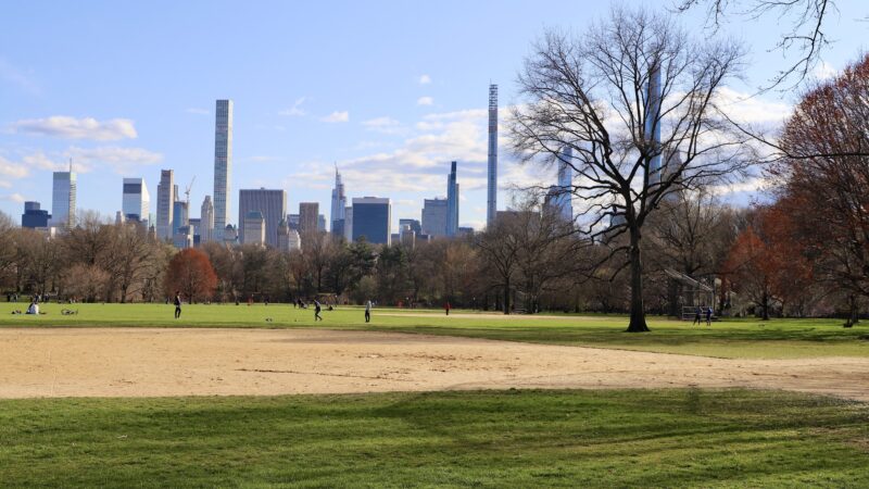 The Great Lawn - New York, NY