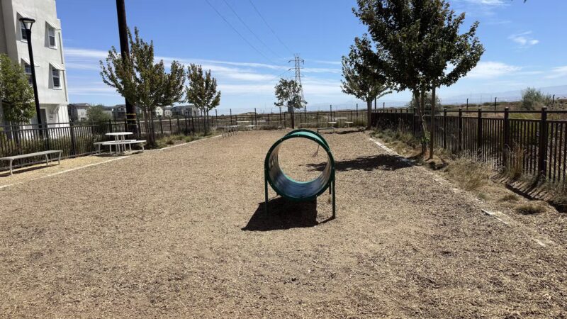 Bridgeway Dog Park - Newark, CA
