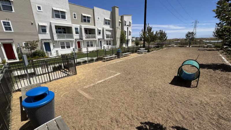 Bridgeway Dog Park - Newark, CA