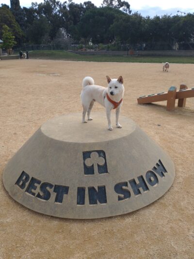 Newbark Dog Park - Newark, CA