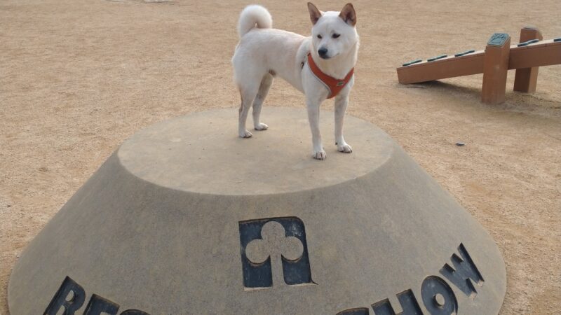 Newbark Dog Park - Newark, CA