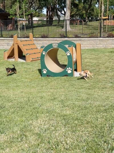 Newbark Dog Park - Newark, CA