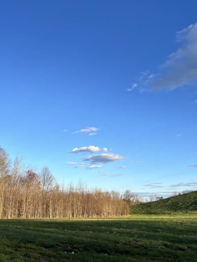 Glasgow Regional Park Pavilion 3 - Newark, DE