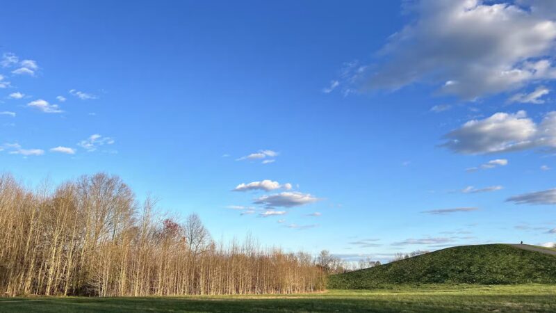 Glasgow Regional Park Pavilion 3 - Newark, DE