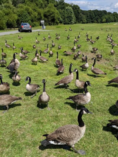 Glasgow Regional Park - Newark, DE