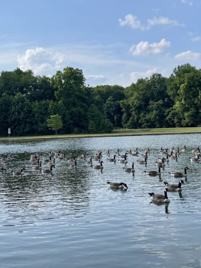 Glasgow Regional Park - Newark, DE