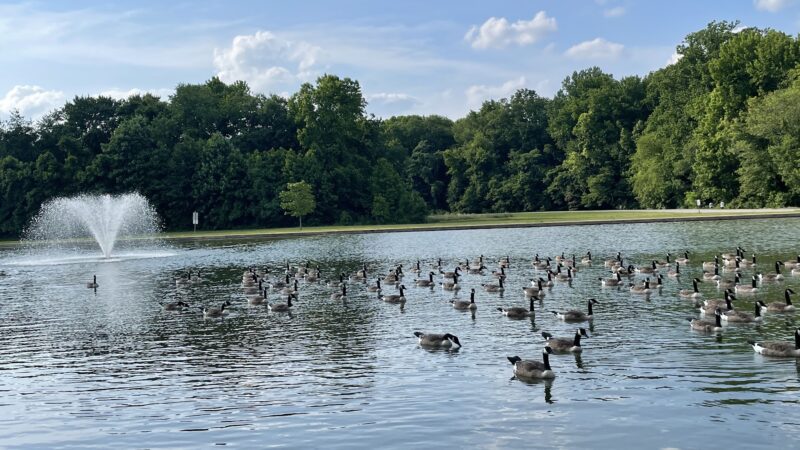 Glasgow Regional Park - Newark, DE