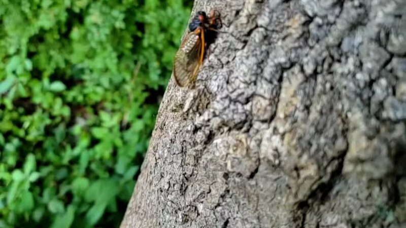 Glasgow Regional Park - Newark, DE