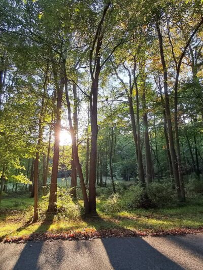 Iron Hill Park - Newark, DE