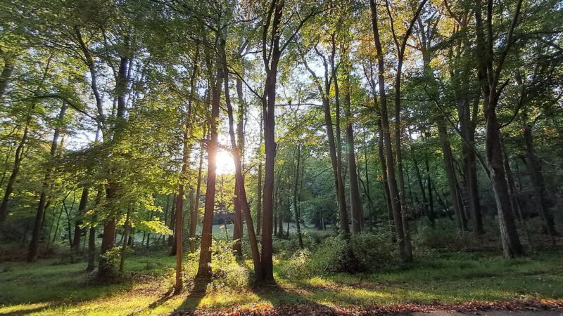 Iron Hill Park - Newark, DE