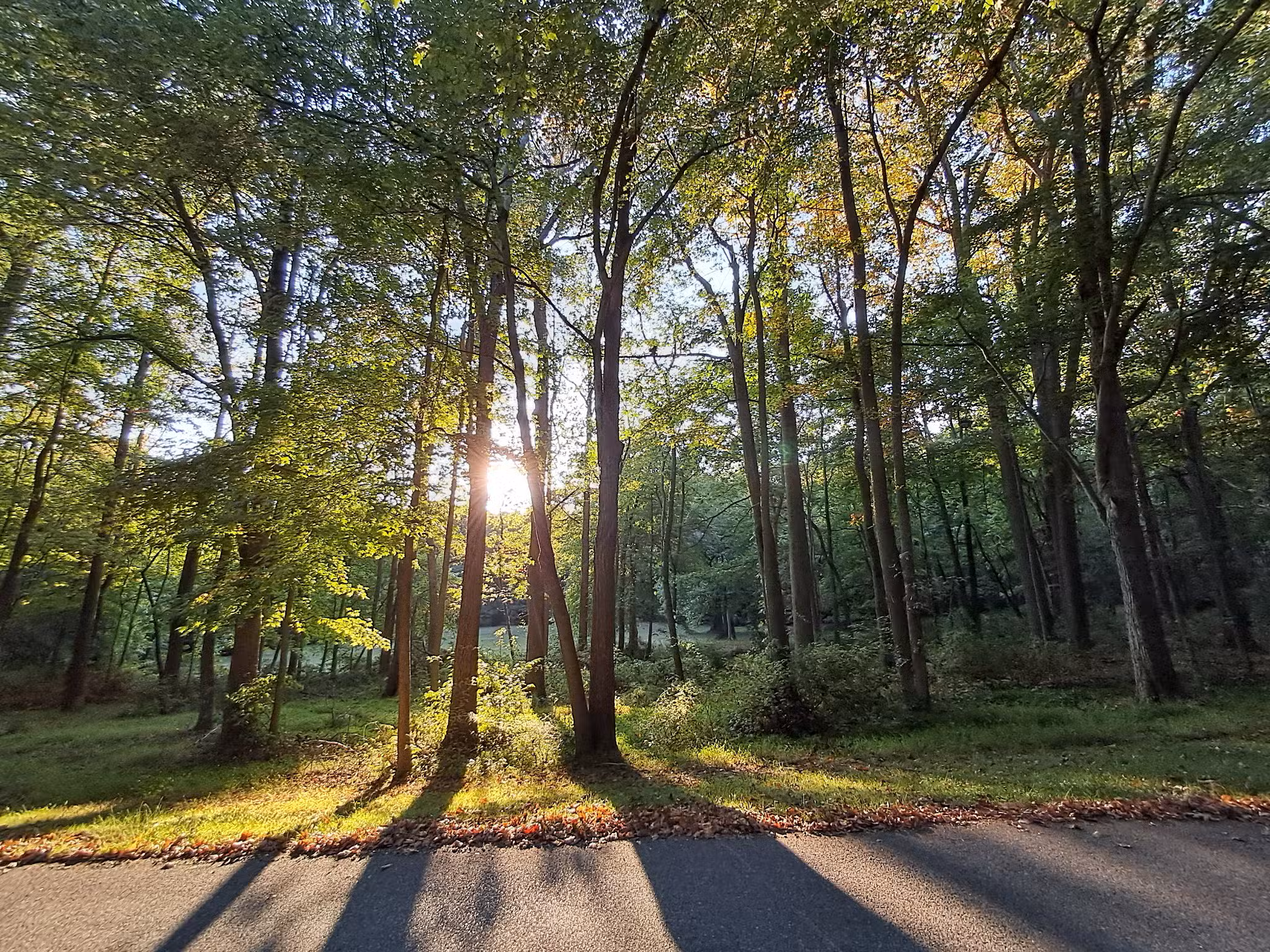 Iron Hill Park - Newark, DE
