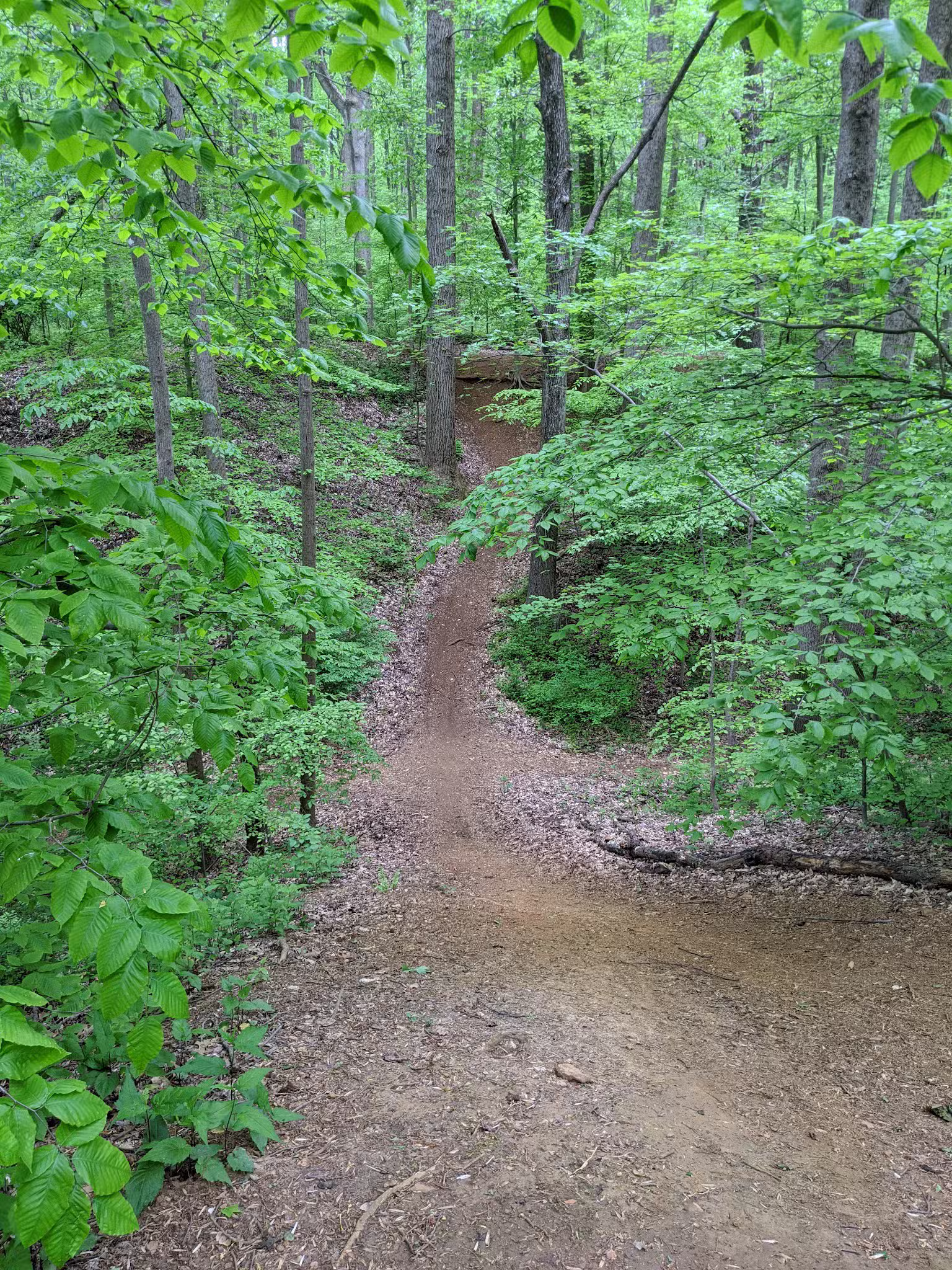 Iron Hill Park - Newark, DE