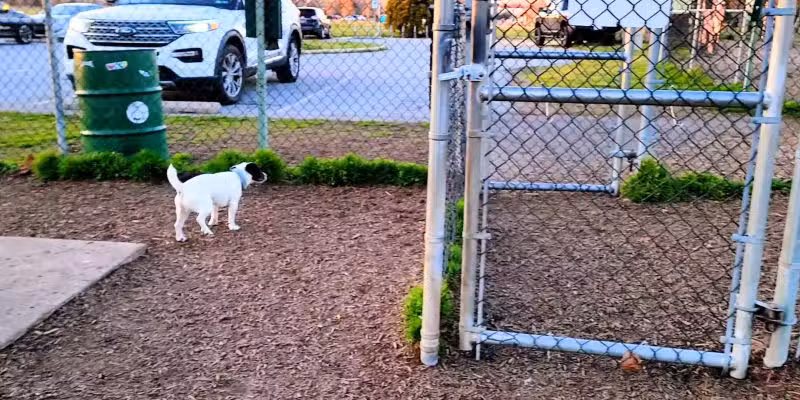 New Castle County Bark Park - Newark, DE