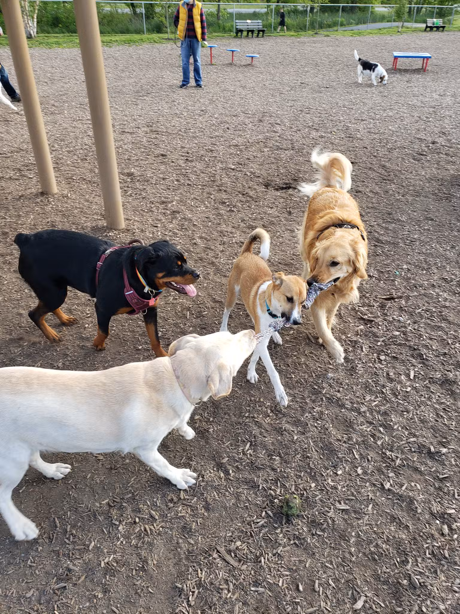 New Castle County Bark Park - Newark, DE