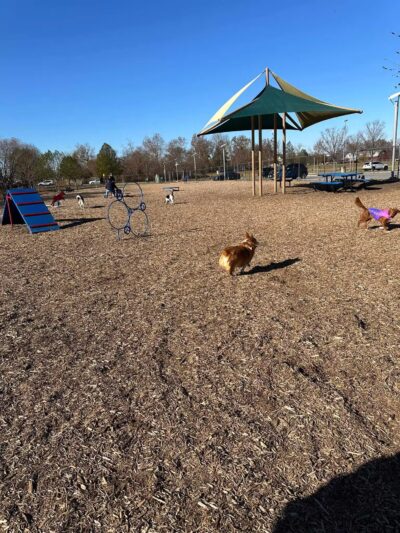 New Castle County Bark Park - Newark, DE