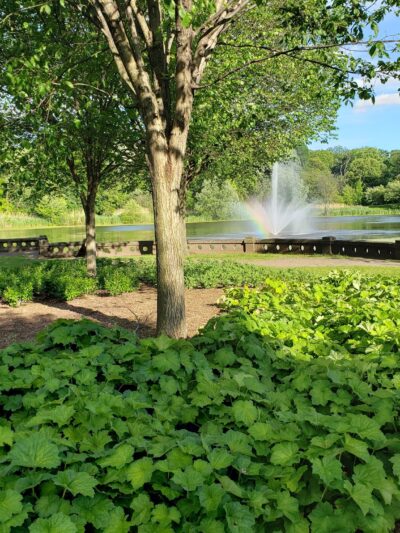 First Street Park - Newark, NJ