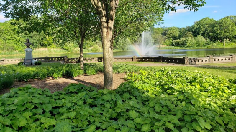 First Street Park - Newark, NJ