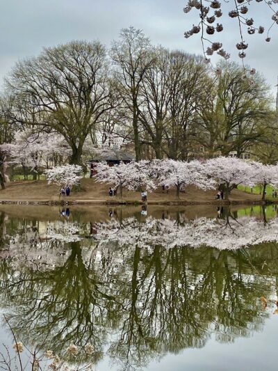 First Street Park - Newark, NJ