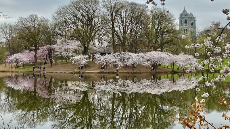 First Street Park - Newark, NJ