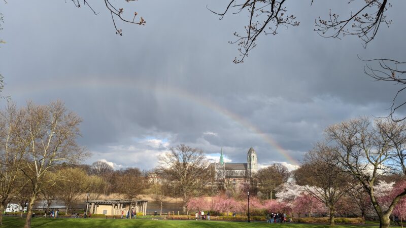 First Street Park - Newark, NJ