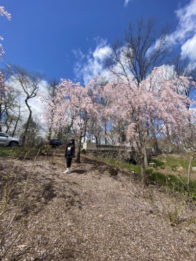 First Street Park - Newark, NJ