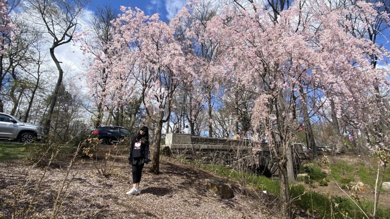 First Street Park - Newark, NJ