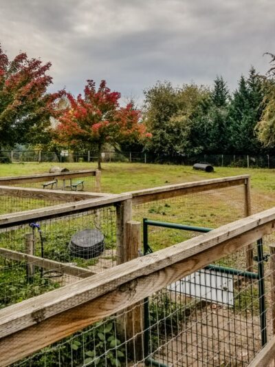 Newberg Dog Park - Newberg, OR