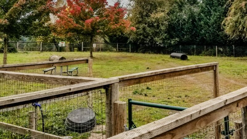Newberg Dog Park - Newberg, OR