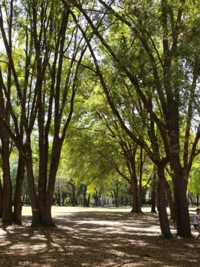 Town of Tioga Playground - Newberry, FL