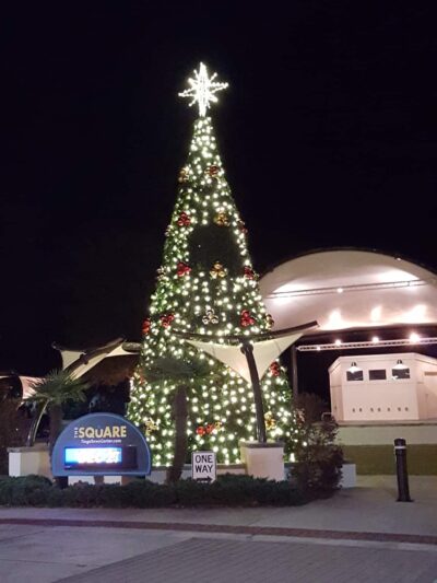Town of Tioga Playground - Newberry, FL