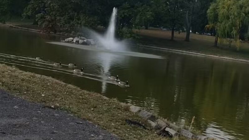 Downing Park - Newburgh, NY