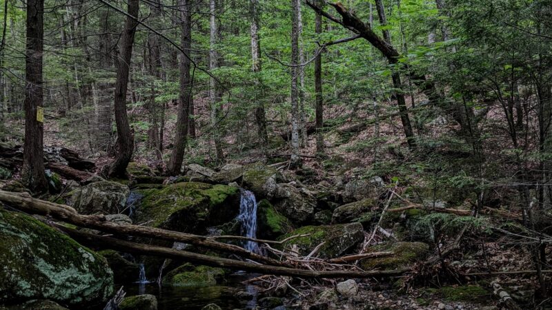 Newbury Trail - Newbury, NH
