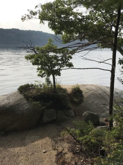 Dodge Point Preserve Trail Head - Newcastle, ME