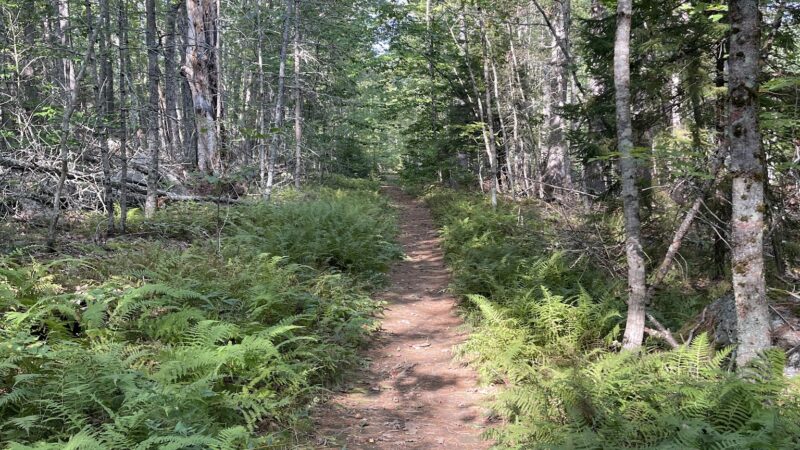 Dodge Point Preserve Trail Head - Newcastle, ME