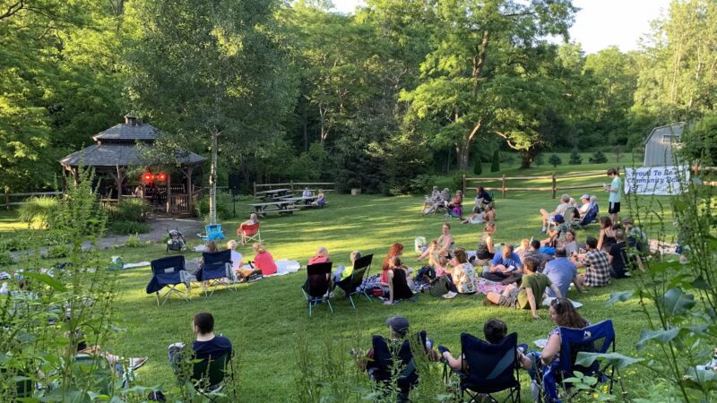 Mill Park - Newfield, NY