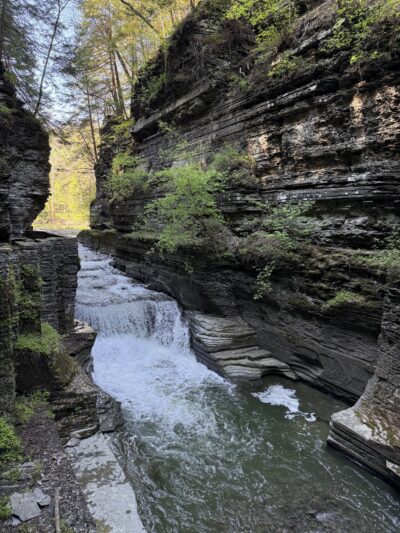Robert H. Treman State Park - Newfield, NY