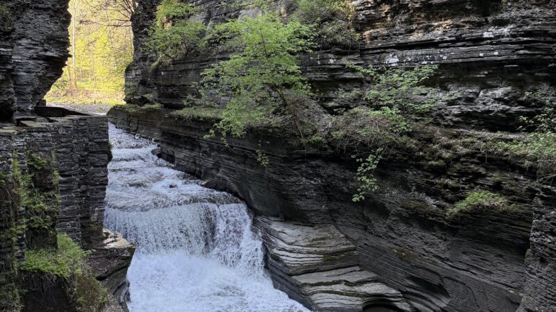 Robert H. Treman State Park - Newfield, NY