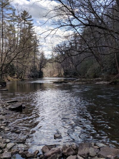 Linville Falls Picnic Area - Newland, NC