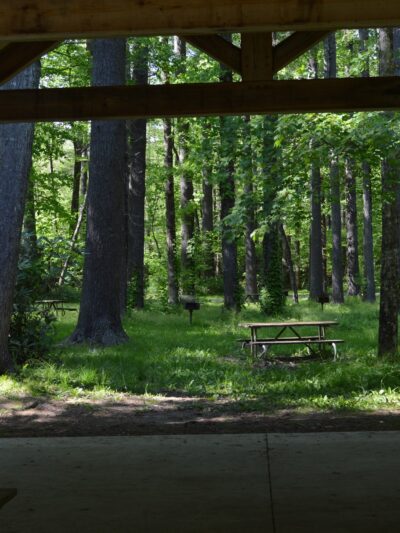 Linville Falls Picnic Area - Newland, NC