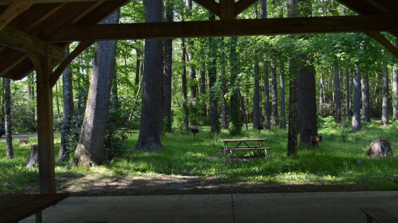 Linville Falls Picnic Area - Newland, NC