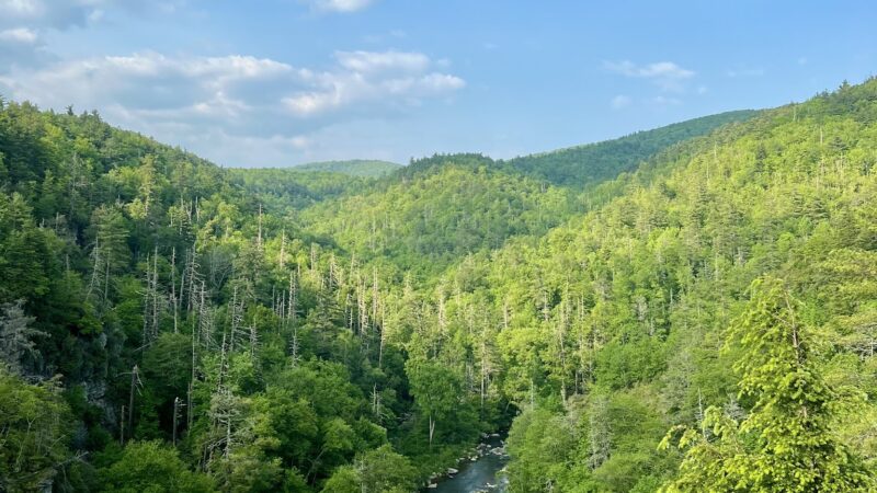Linville Falls - Trail and Waterfall - Newland, NC
